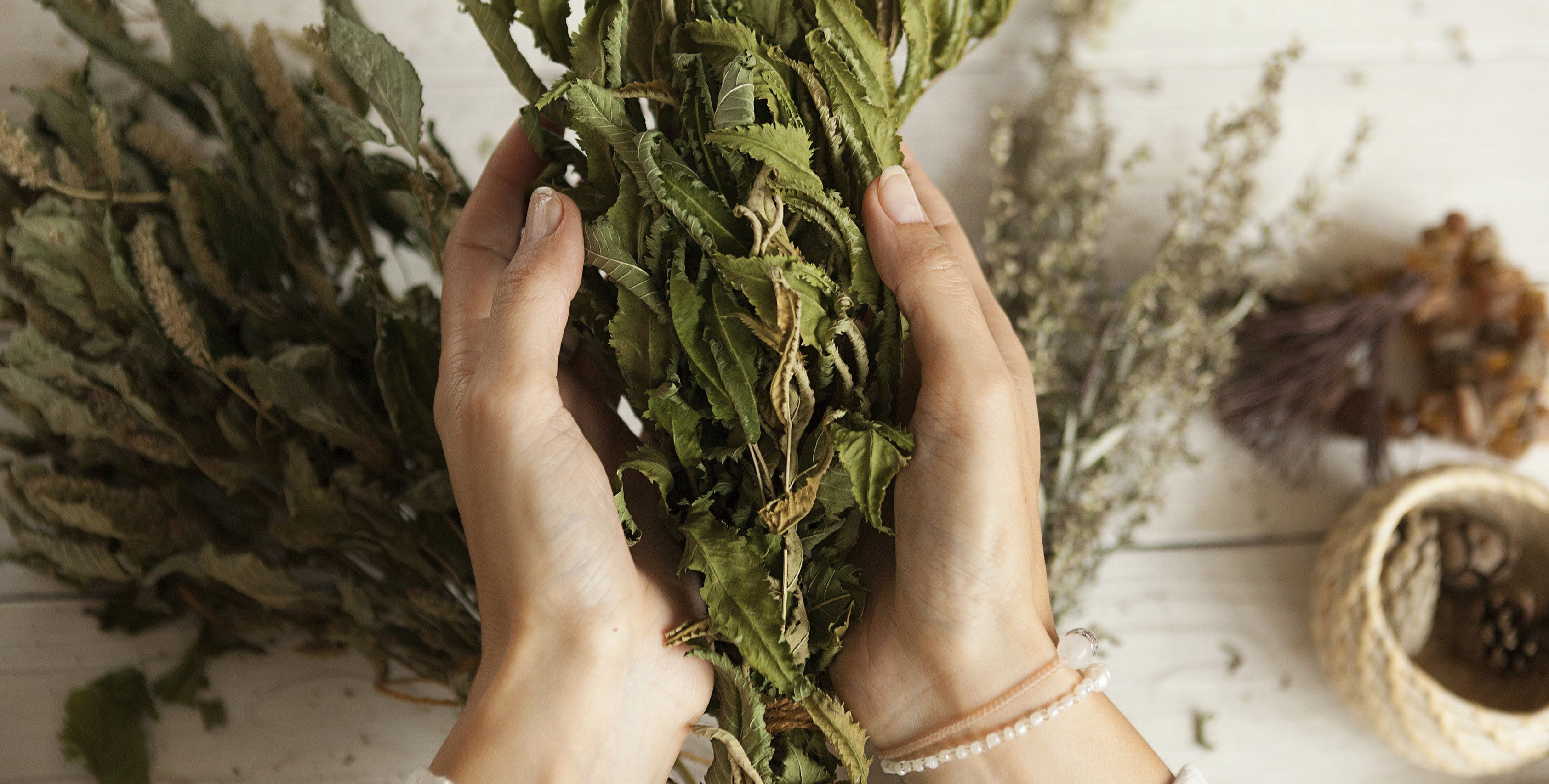 Doplňky stravy Arevali obsahují bylinné extrakty