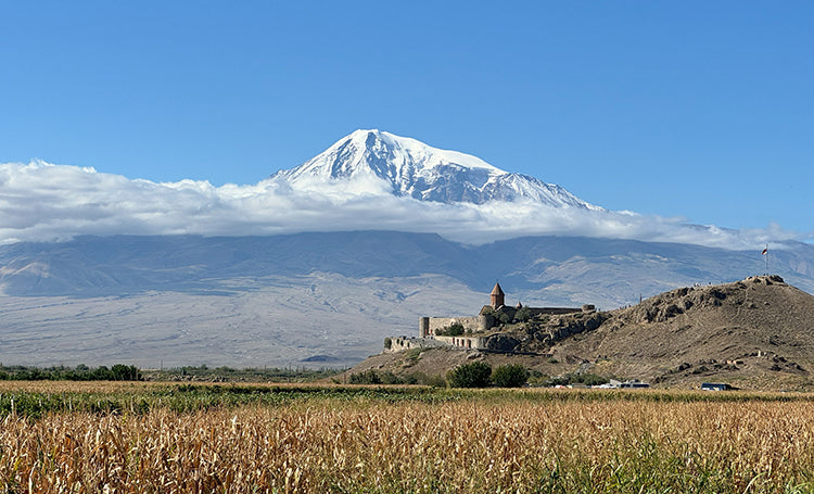 Příběh Arevali: cesta k doplňkům, které skutečně fungují